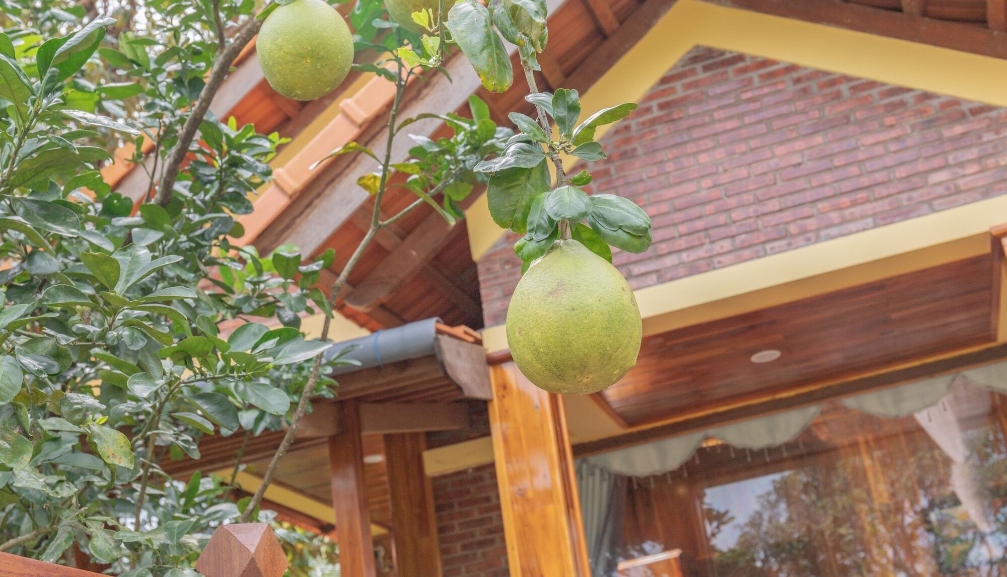 Apartamento Phu Quoc Pomelo Garden Exterior foto