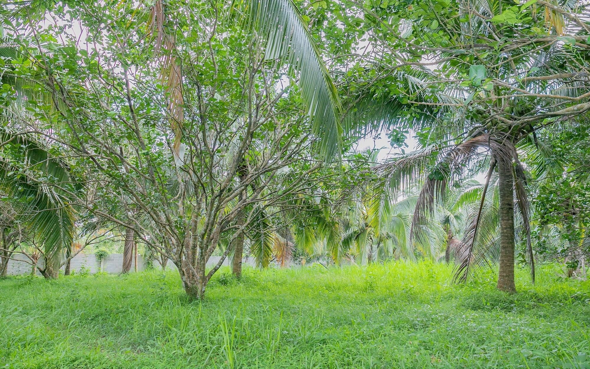 Apartamento Phu Quoc Pomelo Garden Exterior foto